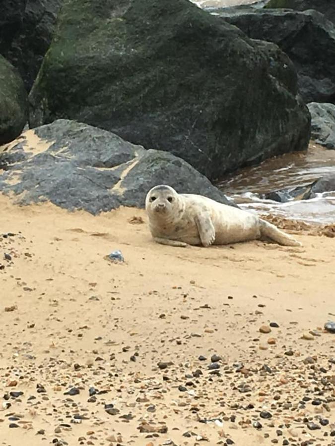 Coastal Terrace Dogs Welcome Optional Hot Tub Villa Sea Palling Luaran gambar