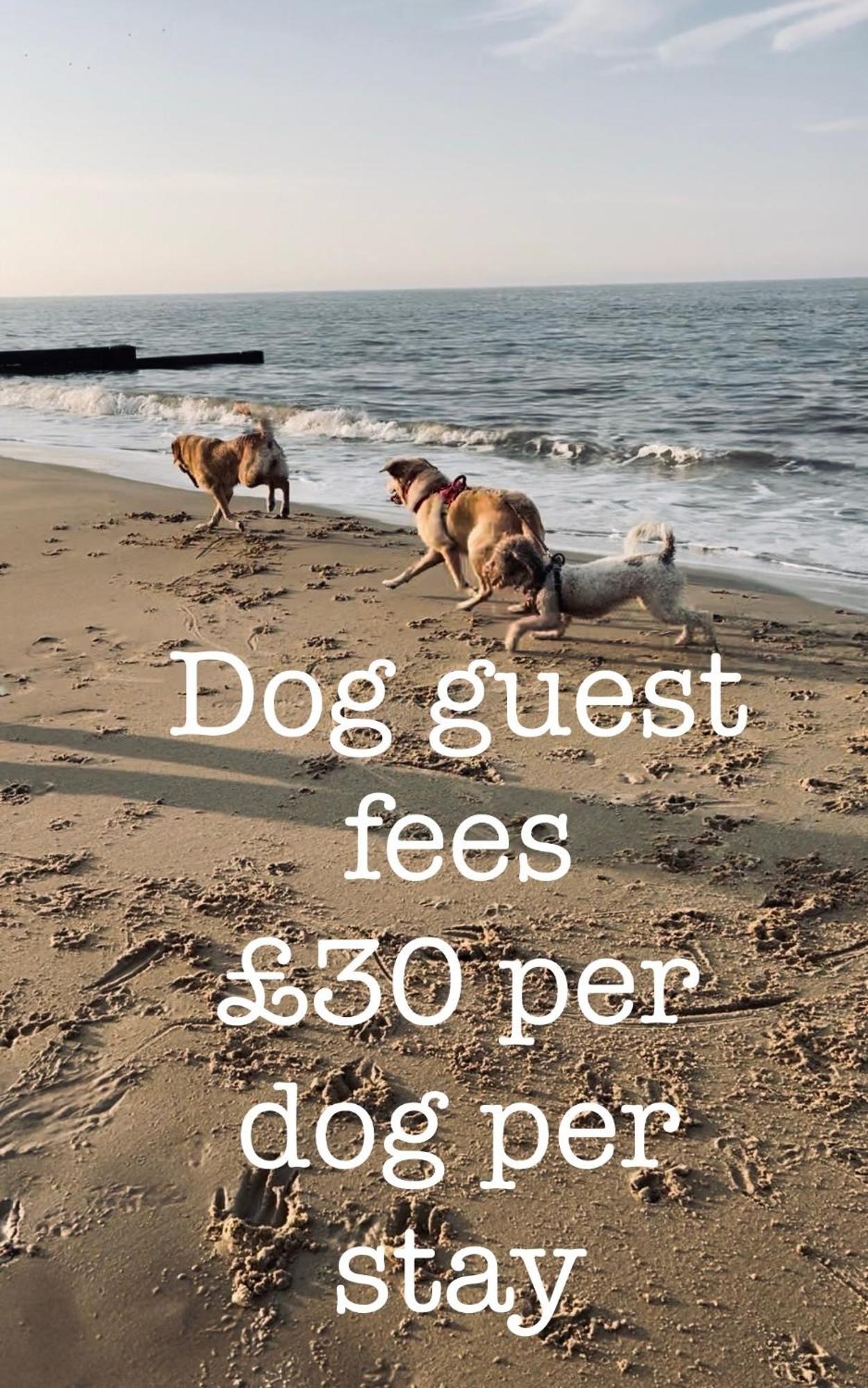 Coastal Terrace Dogs Welcome Optional Hot Tub Villa Sea Palling Luaran gambar